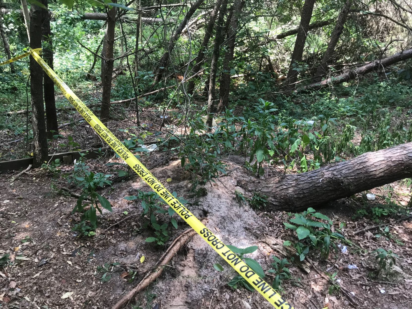 Crime scene